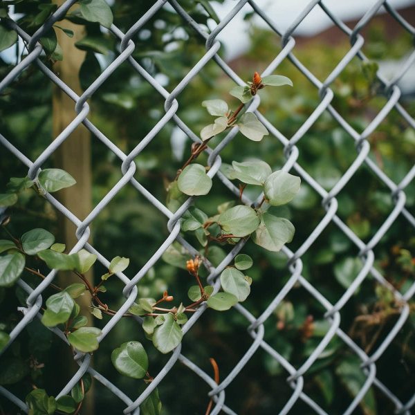 Rome Chain Link Garden Fence